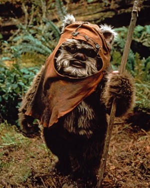 Ewok-1 Ewok-1