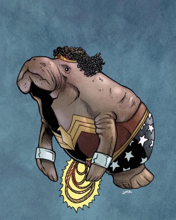wonder-womanatí
