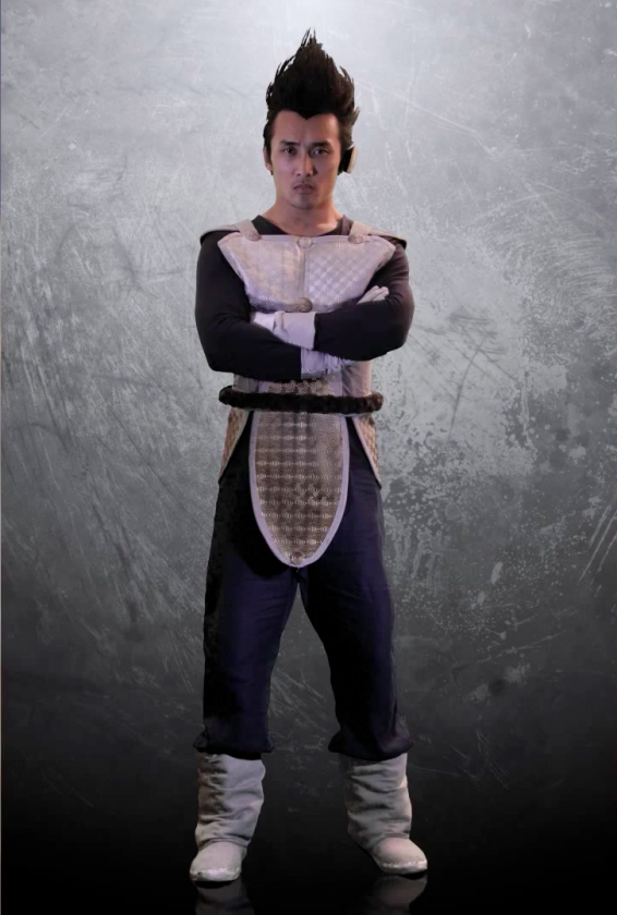 vegeta-dbz-ss Vegata