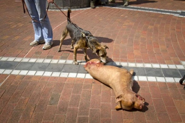 Detras de las camaras The Walking Dead 12 The Walking Dead