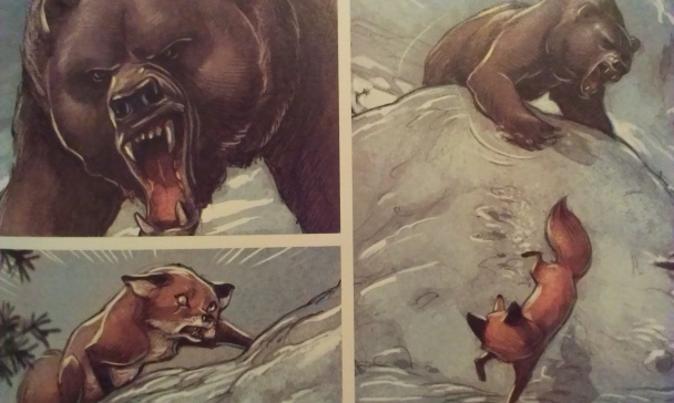 love-zorro-atacado-por-oso