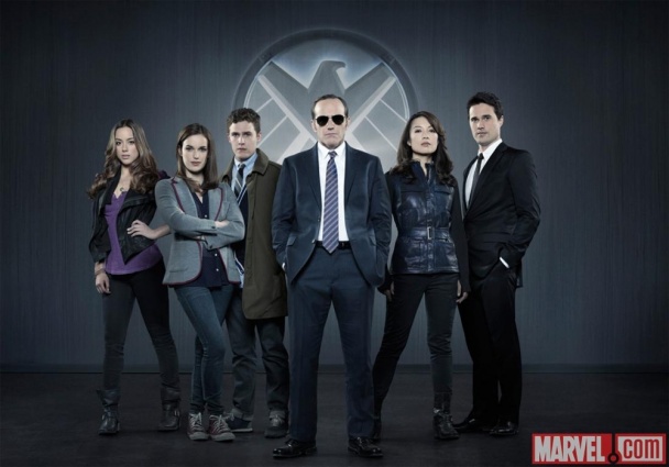 marvel-s-agents-of-shield-tv-show-picked-up-by-abc-in-the-us-134461-a-1368281417-1000-100