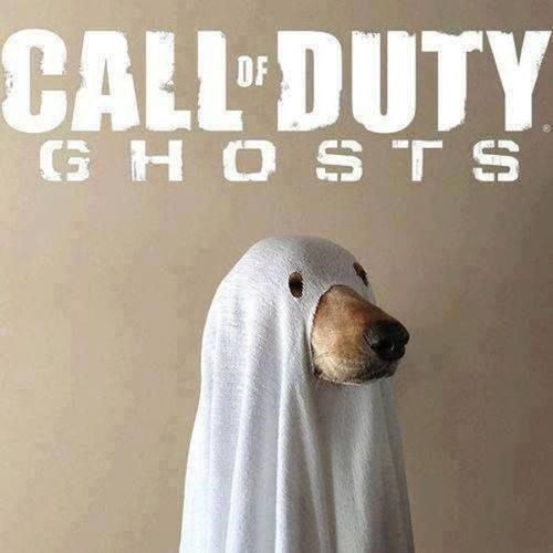Lo que ha dado de sí el humor en Internet esta semana VOL.6 4 call-of-duty-ghosts-perro-fantasma