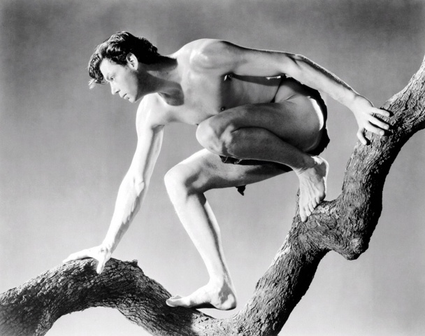 El atlético Johnny Weissmüller interpretando a Tarzán