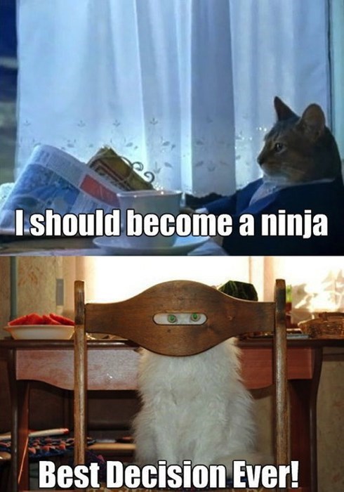 gato-ninja