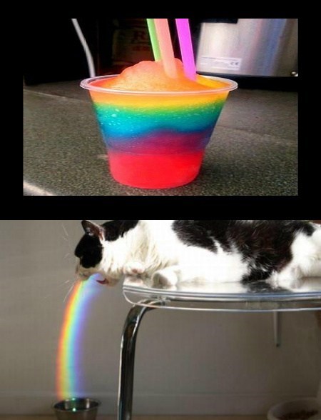 Lo que ha dado de sí el humor en Internet esta semana VOL.15 14 granizado-multi-color