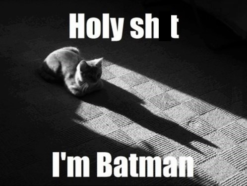 Lo que ha dado de sí el humor en Internet esta semana VOL.16 14 la-sombra-de-un-gato-parece-batman