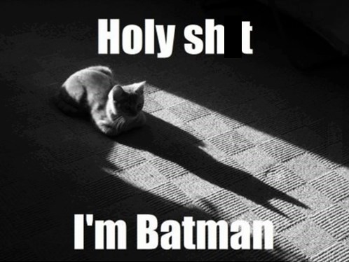 la-sombra-de-un-gato-parece-batman