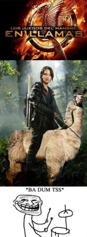 en-llamas-katniss-sobre-una-llama