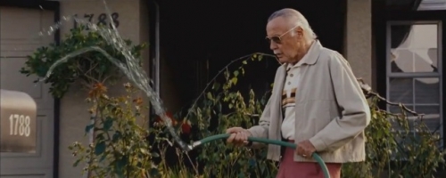 cameo Stan lee