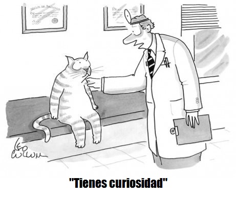 medico-le-dice-a-un-gato-que-tiene-curiosidad