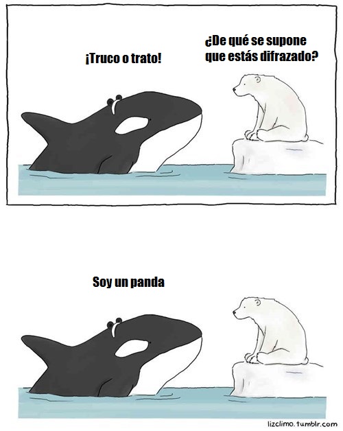 orca-se-disfraza-de-panda-para-halloween