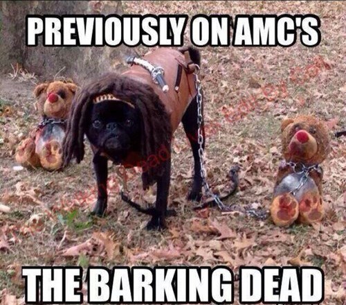 Lo que ha dado de sí el humor en Internet esta semana VOL.21 5 perro-disfrazado-de-michone