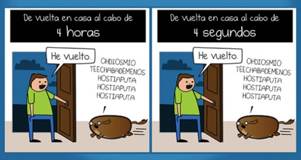 mi perro esa paradoja espera