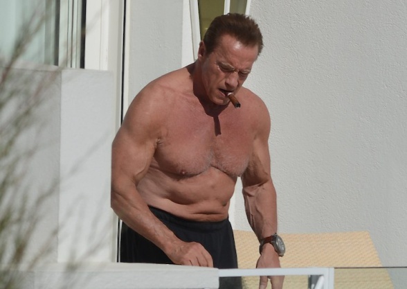 La Leyenda de Conan comienza a rodarse en marzo de 2015 2 Schwarzenegger