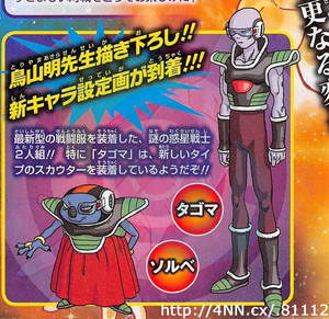 dragon-ball-z-sorbet-y-tagoma