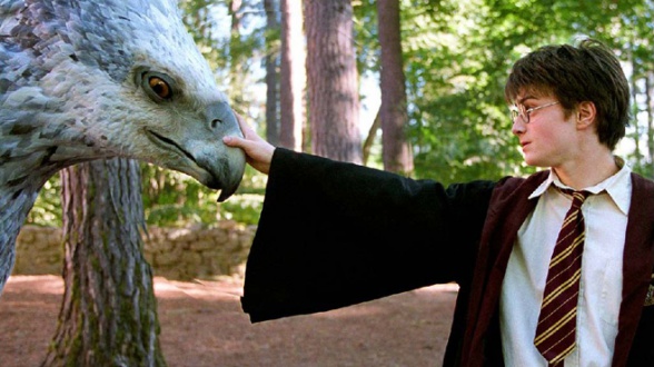 'Animales fantásticos y dónde encontrarlos' se rodará este verano 1 Harry-Potter-Fantastic-Beasts-and-How-to-Find-Them