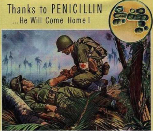presencia humana magazine 5 penicillin