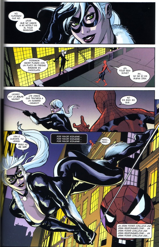 Spiderman y la Gata Negra: El mal que hacen los hombres 3 Spiderman y la Gata Negra