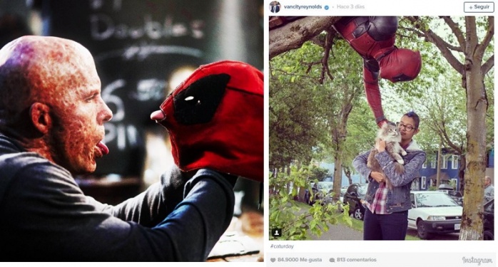 Deadpool enamorado y jugando a colapsar las redes 5 Deadpool tongue and cat