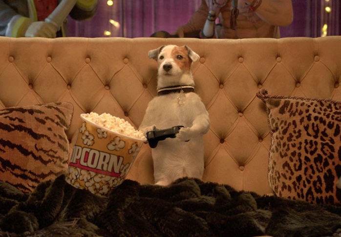 El Videoclub: Pancho, el perro millonario 3 pancho-el-perro-millonario