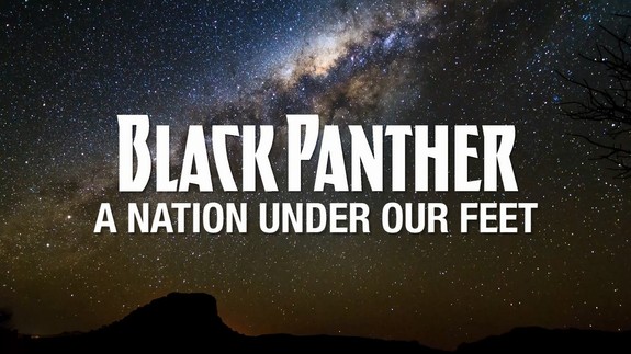 Black Panther A Nation Under Our Feet Pantera Negra