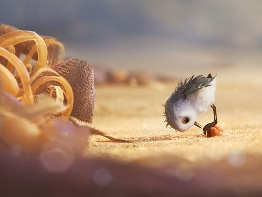 Pixar anuncia el corto 'Piper' que acompañará a 'Buscando a Dory' 1 Piper 1