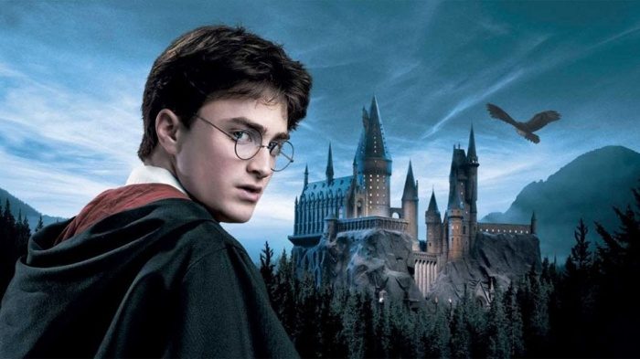 El mayor sacrificio de Harry Potter no lo hizo su protagonista 2 Harry Potter