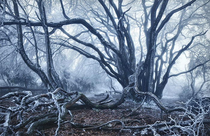 De los cuentos de los Hermanos Grimm hasta los reinos de Juego de Tronos 2 Homenaje Juego de Tronos 3