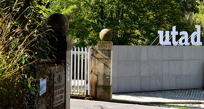 El Centro Universitario de Tecnología y Arte Digital busca estudiante de animación 2 utad