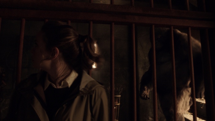 'The Flash': Primer vistazo a Solovar, líder de Gorilla City 4 The Flash