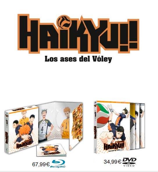 Haikyu!!, Production I.G., Selecta Vision