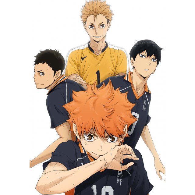 Haikyu!!, Production I.G., Selecta Vision