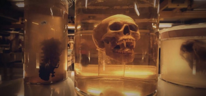 Crítica de 'La Momia' 3 Alex Kurtzman, Dark Universe, Momia, Tom Cruise, Universal Pictures