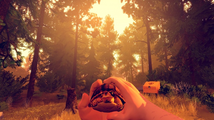 firewatch