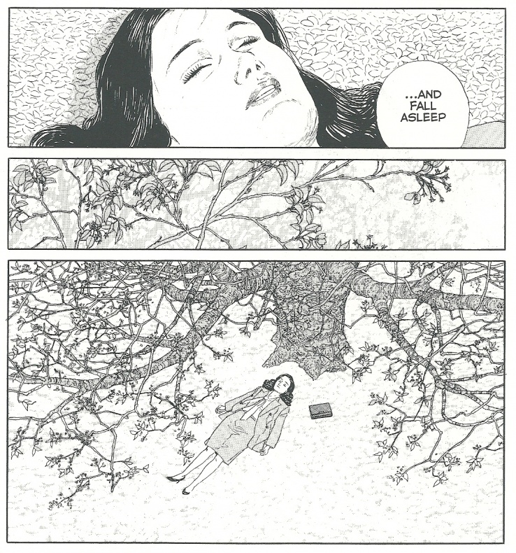 El Caminante, Jiro Taniguchi, Ponent Mon