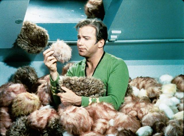 'Star Trek: Discovery' traerá de vuelta a los Tribbles 2 Los Tribbles aparecerán en 'Star Trek: Discovery' 2