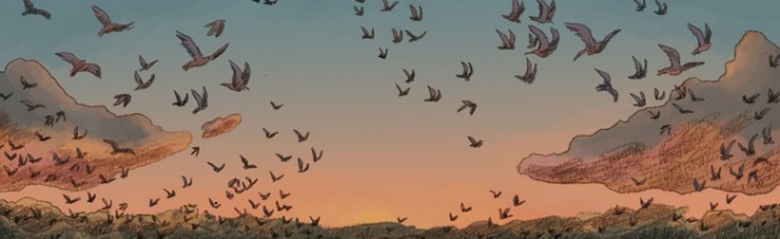 Audubon, Fabian Grolleau, Jérémie Royer, Norma Editorial, Sobre las alas del mundo