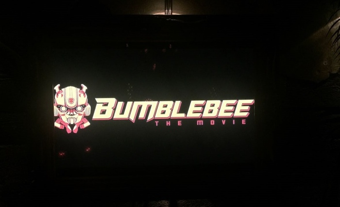 Bumblebee Transformers (1)