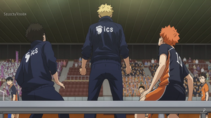 Haikyu!!, Selecta Vision