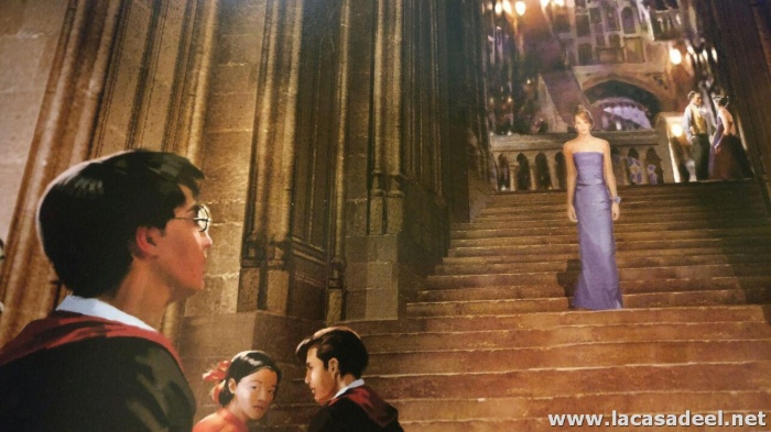 Reseña de 'El arte de Harry Potter' 4 Ilustración del vestido de Hermione