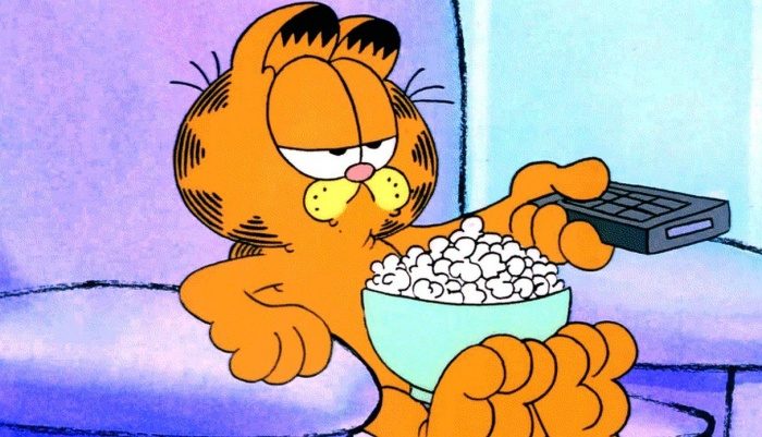 Garfield - Nickelodeon - Día del Gato