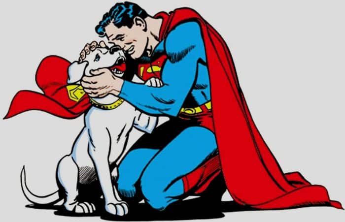 Superman - James Gunn - DCU - Krypto