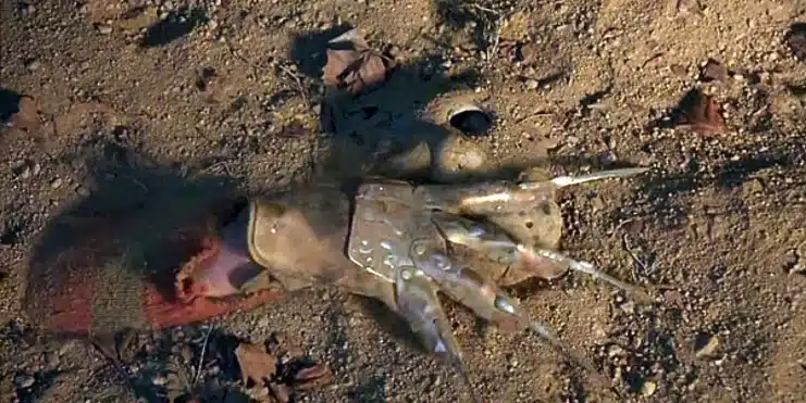 Viernes 13: Kane Hodder, uno de los rostros de Jason Voorhees, también interpretó a otro icono del terror 2 viernes 13