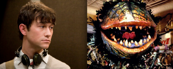 joseph-gordon-levitt-la-pequeña-tienda-de-los-horrores-remake Joseph Gordon-Levitt - la tienda de los horrores