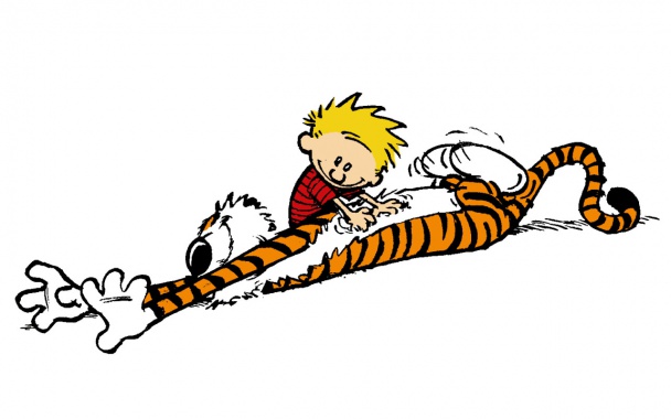 Calvin Hobbes - Astiberri Ediciones