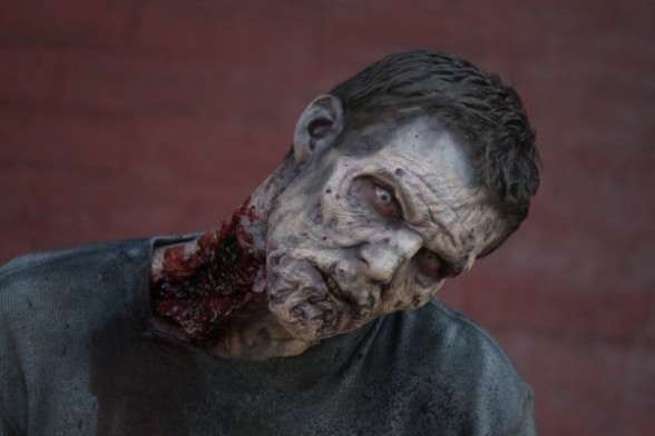 Zombi The Walking Dead