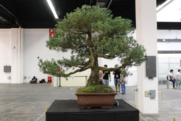 XX Salón del Manga de Barcelona: Crónica Domingo 13 #SalonMangaBCN, Ficomic, Salon del Manga de Barcelona