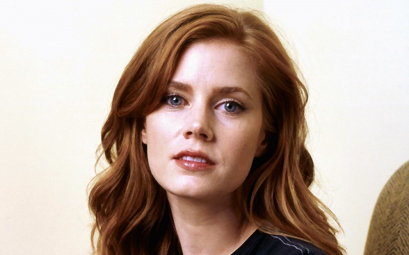 'Wonder Woman' aún no tiene la aprobación de Warner Bros 4 amy adams