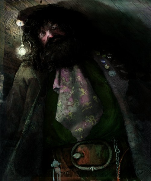 Primer vistazo a la edición ilustrada de Harry Potter 5 Harry Potter, J. K. Rowling